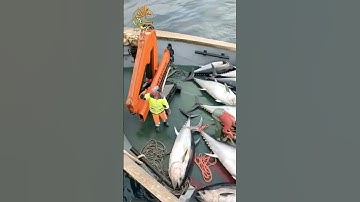 ولو بسط الله الرزق لعباده لبغوا في الأرض | تلاوة خاشعة | الشيخ سعود الشريم | ما تيسر من سورة الشورى