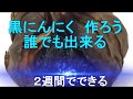 令和元年 黒にんにく 作ろう