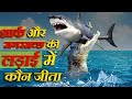 कौन जीतेगा ,शार्क या मगरमच्छ difference between shark and crocodile,strongest animals