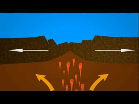 Video: ¿Qué se forma en las áreas donde las placas oceánicas divergen y se crea un nuevo lecho marino llanuras abisales plataforma continental talud continental cordillera media oceánica?