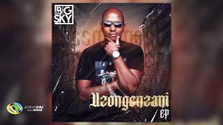 Dj Big Sky And Fiso El A  Uzongenzani feat Leemckrazy Thee Exclusives And Stifler 