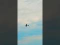 6/6 P51D Mustang Red Nose at the WWII Days Airshow Reading PA #viral #video #shorts #short #plane