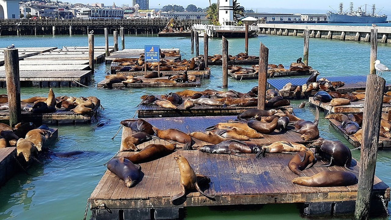 Best Tourist Attractions you MUST SEE in Oakland, United States | 2019