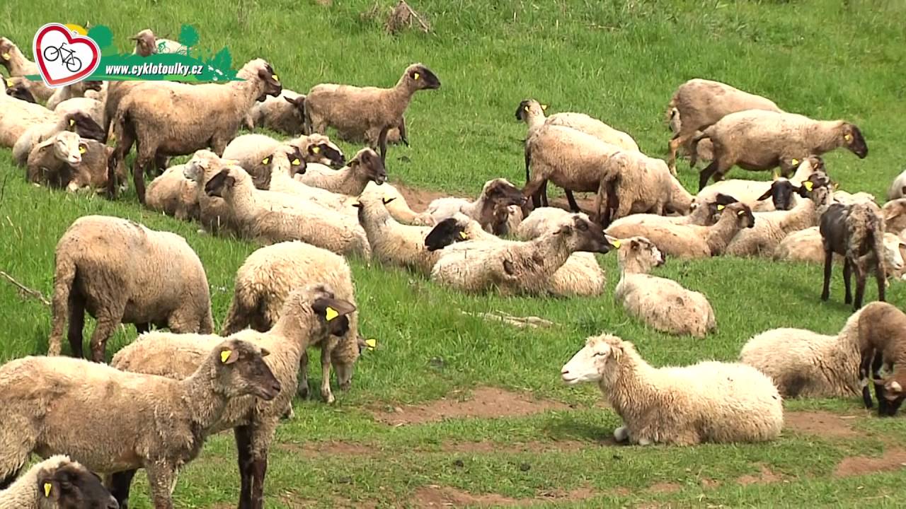 Cyklopotulky Kremnica