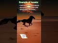 #accountmcqs #accounts_quiz #account