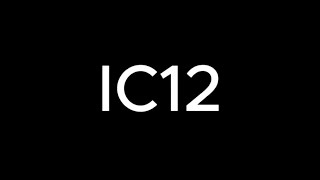 IC12 - IC Final Project - The comparison between Vietnamese & German cultural value patterns