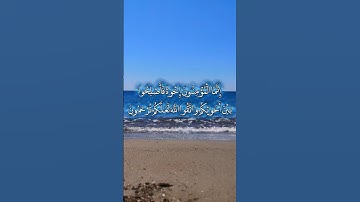 القران الكريم ياسر الدوسري #اكسبلور #القزابري #القزابري #دويتو #المصحف #لايك #الرحمن #العظماء #تصمي
