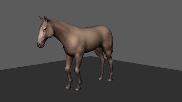 Horse Idle Animation