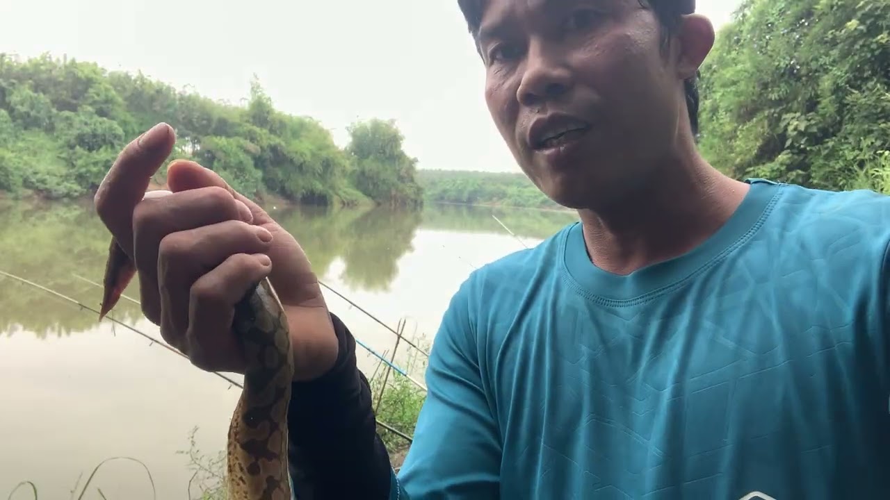 sông bé mãi đỉnh