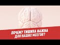 Почему тишина важна для наших мозгов? – Шоу Картаева и Махарадзе