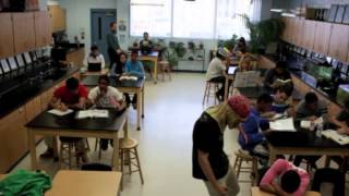 Harlem Shake (IB Juniorrsss)
