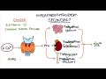 Understanding Hyperparathyroidism