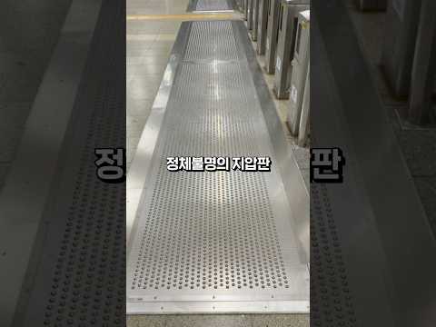 지하철 뽁뽁이 지압판의 정체