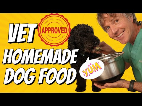 Vet Approved Homemade Dog Food: Good for Digestive