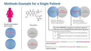 Integrative Analysis to Suggest Combination Therapies for Ovarian Cancer