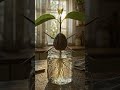 Watch an Avocado Seed Come to Life 🌱 #avocado #plantgrowth #shorts #amazingnature #farming #usa