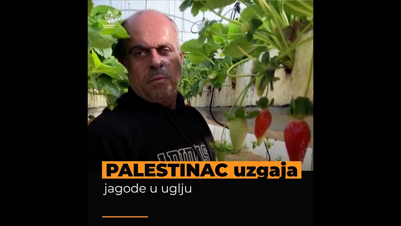 مزارع فلسطيني يلجأ إلى أسلوب ري جديد