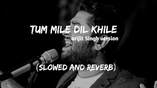 Tum Mile Dil Khile - Arijit Singh version | (Slowed \u0026 Reverb) |Music Slowverb