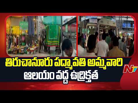 Elephant Turns Violent at Tiruchanur Temple, Mahout Injured | NTV Telugu - NTVTELUGU