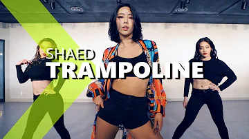 SHAED - Trampoline / HAZEL Choreography.