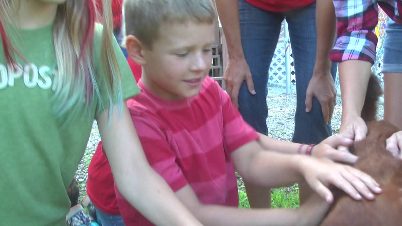 YMCA Camp Sherwin Apple Festival Wagon Ride YouTube