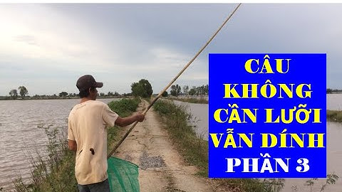 CẢNH CÂU ẾCH MÙA NƯỚC LŨ VỀ MIỀN TÂY - PHẦN 3