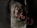 كل الناس تتربی وتتأدب إلا إثنان