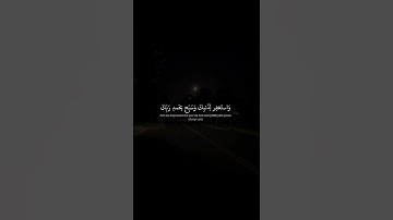 فاصبر إن وعد الله حق | محمد صديق المنشاوي | سورة غافر