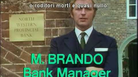 Monty Python Sub Ita The Idiot in Society