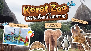 พาเที่ยวสวนสัตว์โคราช Korat Zoo 🦣⛺️| ที่มีทั้งสวนน้ำ และช้างแอฟริกาตัวเดียวในไทย