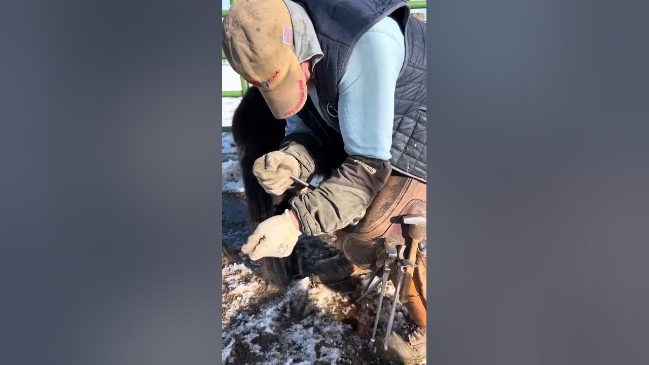 Trimming a Long HoofMini Mule RJF YouTube