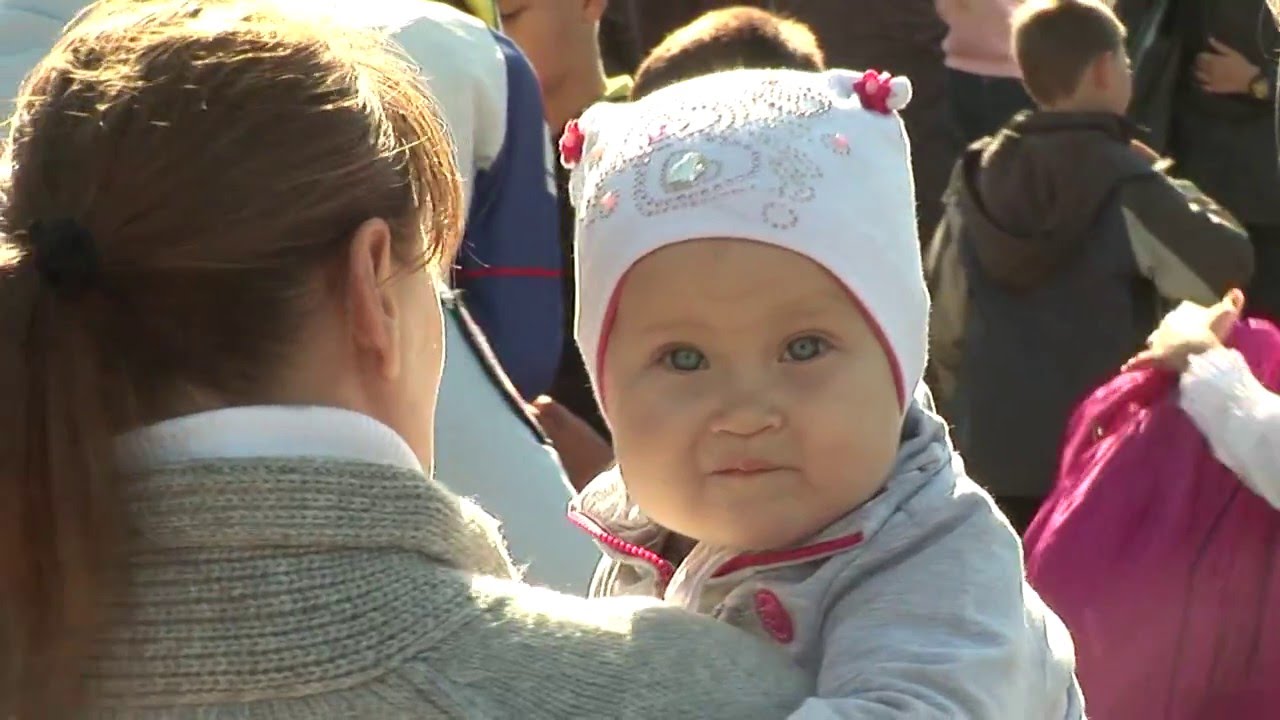 Отчёт ОМСУ МО г. Петергоф об исполнении бюджета за 2015 год - YouTube