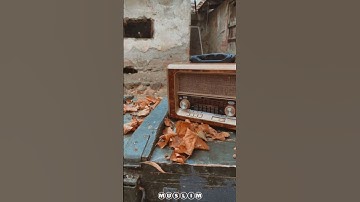 القارئ محمود خليل الحصري