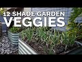 12 perfect vegetables to grow in a shady garden space