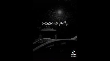 14 ثانية فقط من وقتك /ايات القران الكريم بصوت يريح قلبك #تلاوات القرآن الكريم