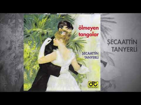 Şecaattin Tanyerli - Çok Ağladım Çok İnledim