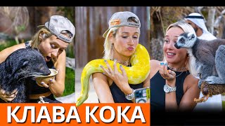 The Most Luxurious Animal Sanctuary in Dubai! | Klava Koka