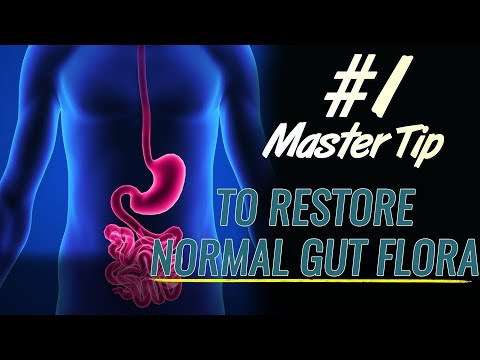 The #1 Master Tip to Help Restoring a Normal Gut Flora