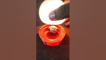 🐣Home made incubator#youtube #experiment #diy #chickenfarm #hatching #incubator #eggincubator