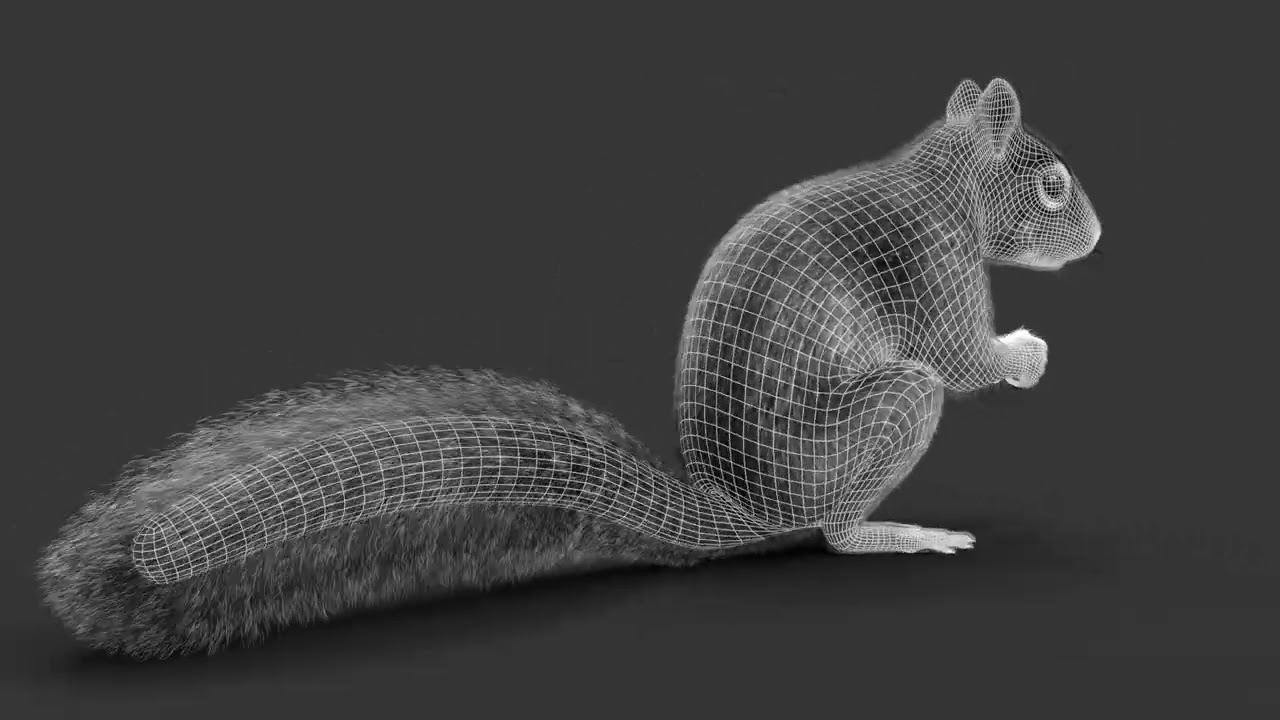 Squirrel Turntable | Black and white | CG Creature artist 