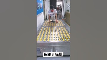 The swivel wheel sorter, the rotary wheel sorter, DWS line, scanning, weighing, logistic sorting,