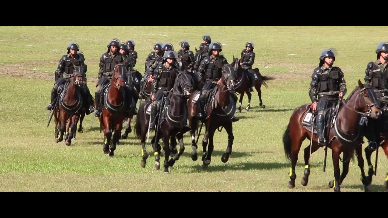 Exército Brasileiro - Parabéns Cavalarianos do Brasil! SEMPRE HAVERÁ UMA  CAVALARIA! Acesse:  #DiadaCavalaria