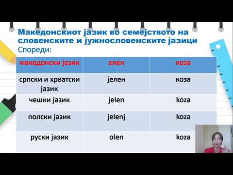 VI Oдделение - Македонски јазик - Потекло и развој на македонскиот јазик