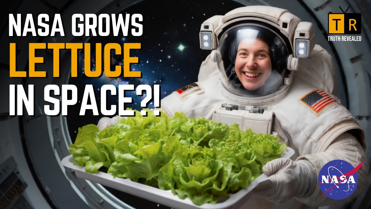 NASA Grows Lettuce in Space – The MIND-BLOWING Results!