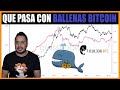 🤬BITCOIN: SOPORTE de BALLENAS nos ESPERA en FECHAS RELEVANTES MAYO 2022