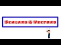 Scalars Versus Vectors in Motion Analysis