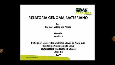 Como se apresenta o genoma das bactérias?