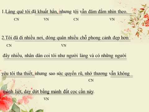 Bài 28 A: Ôn tập 1