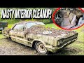 ABANDONED Dodge Monaco NASTY INTERIOR for 40+ Years: SATISFYING Cleanup!
