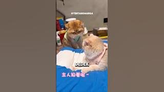 Moyen was scolded by his wife 😂🫠